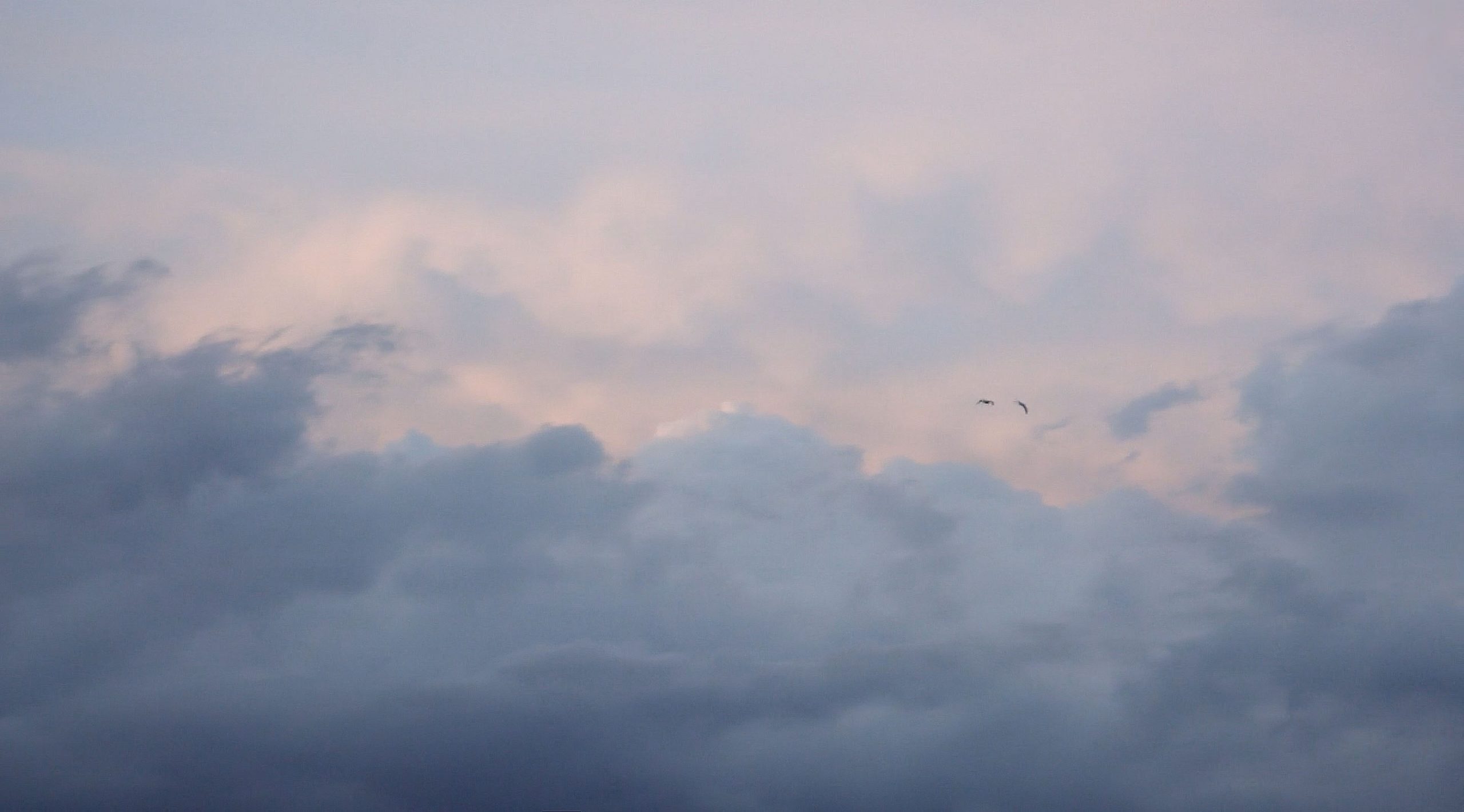 Read more about the article Beautifully Made Knitwear: Alma